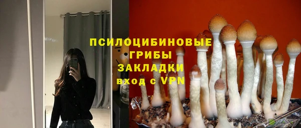 COCAINE Покачи