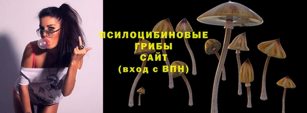 герыч Покровск