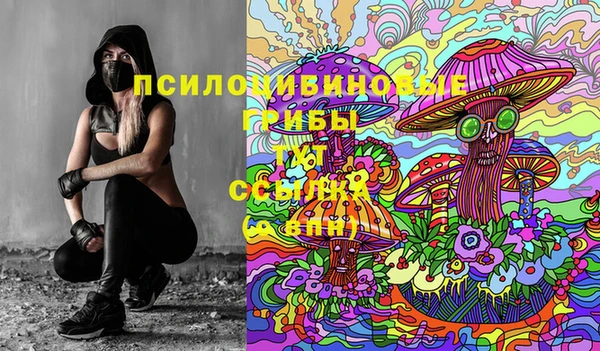 COCAINE Покачи