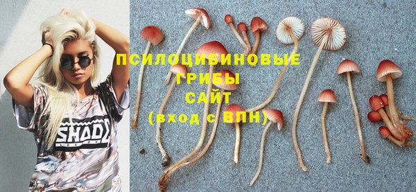 бошки Покров