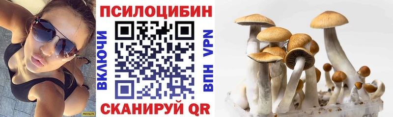 Купить где  Черемхово  Галлюциногенные грибы мухоморы 